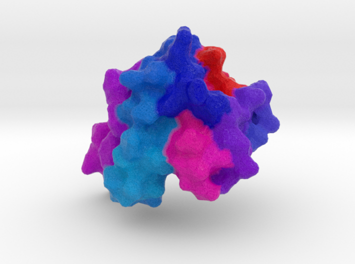 Ribonuclease 3d printed