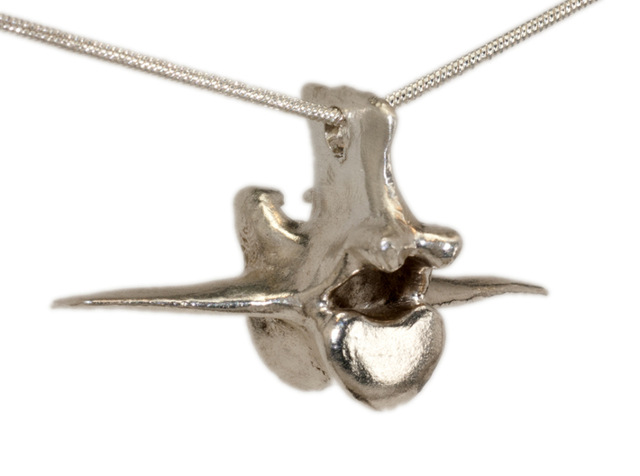 Vertebra #8 40mm with 4mm Hole  3d printed sterling silver