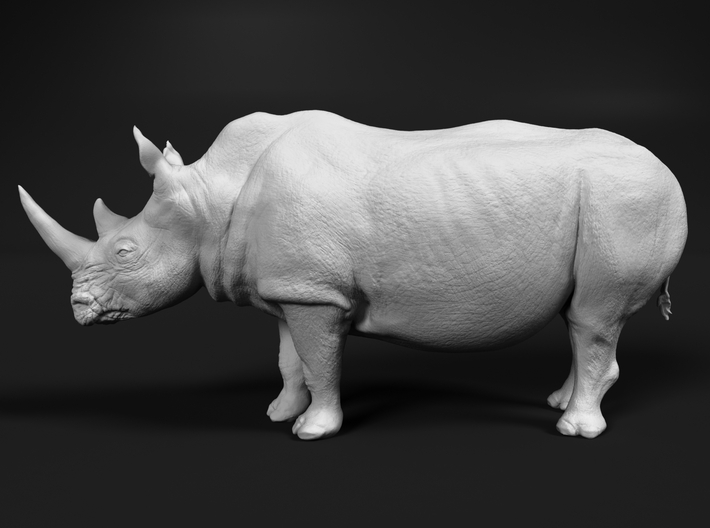 White Rhinoceros 1:35 Standing Male 3d printed 