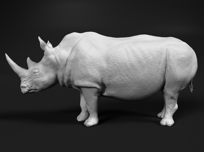 White Rhinoceros 1:87 Standing Male 3d printed 