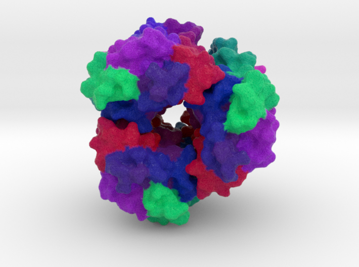 Bacteriorhodopsin 3d printed