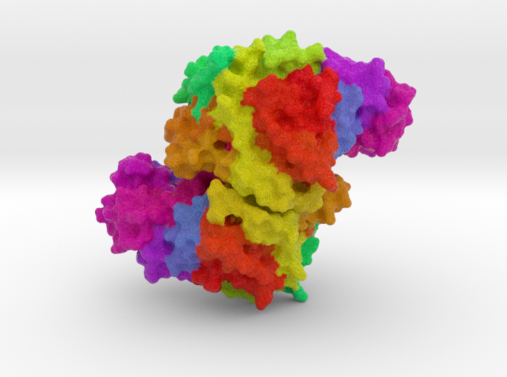 Citrate Synthase 3d printed