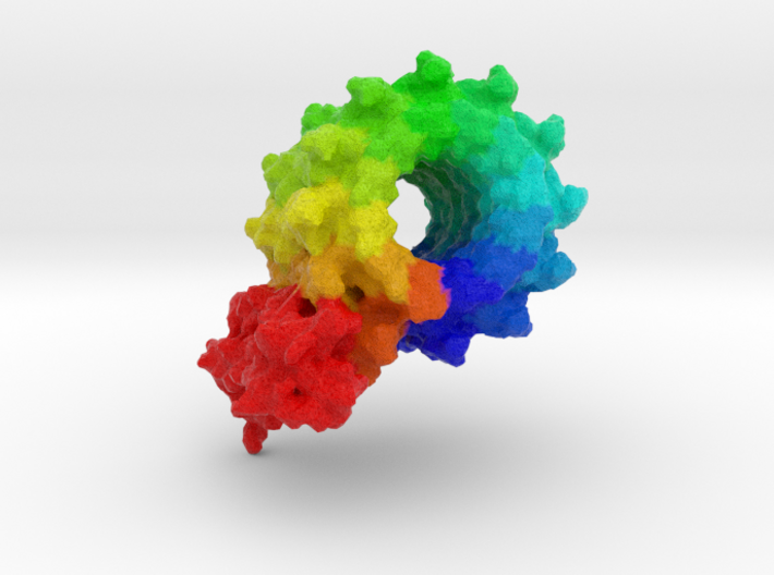 ATP Synthase 3d printed