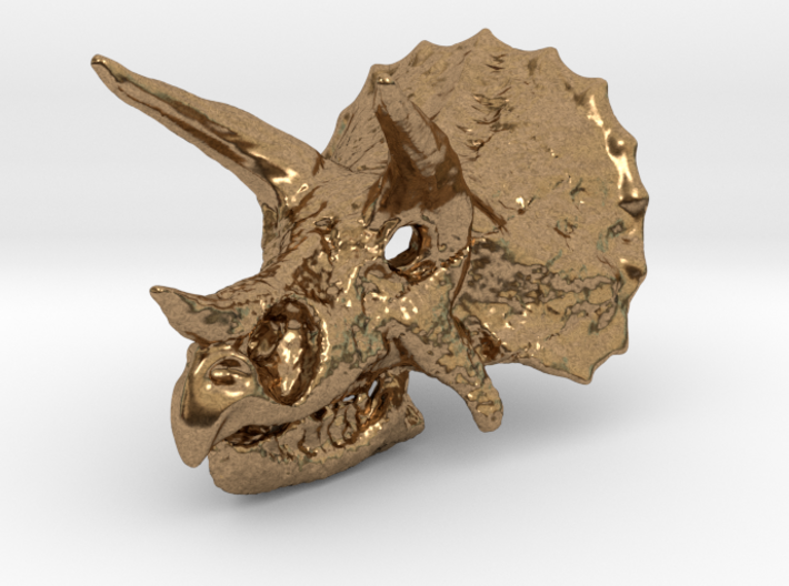 Triceratops Dinosaur Skull Pendant 3d printed