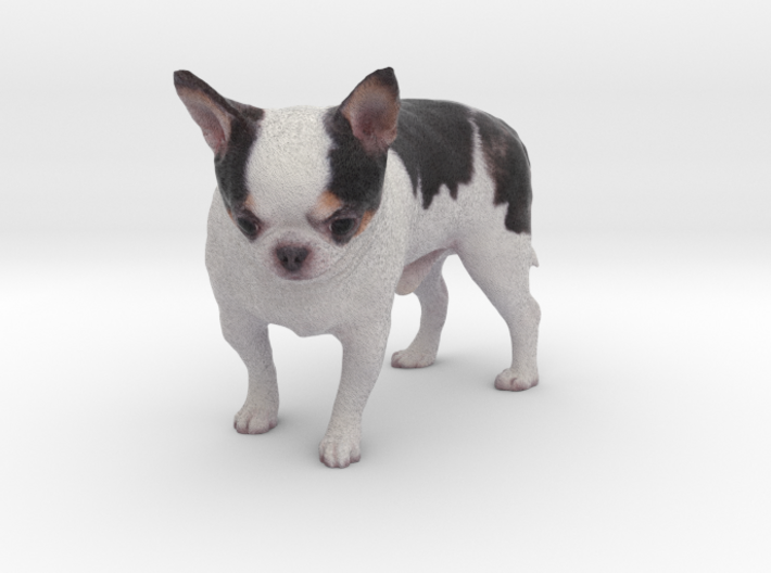 Scanned Chihuahua Dog -891 3d printed
