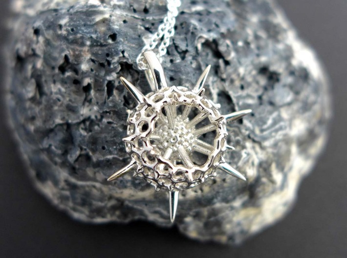 Small Spumellaria Pendant - Science Jewelry 3d printed