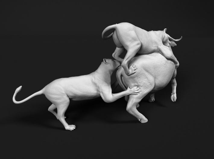 Cape Buffalo 1:25 Attacked by Lions 3d printed 
