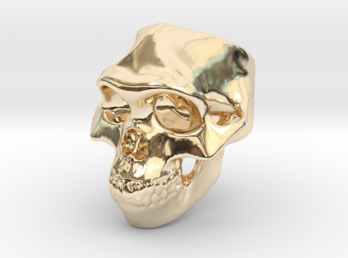 Lucy Skull Ring size 12 3d printed