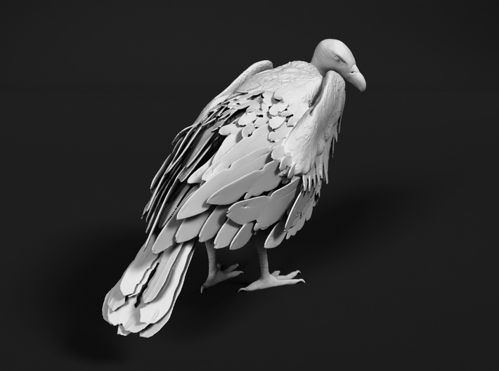 White-Backed Vulture 1:6 Standing 2 3d printed