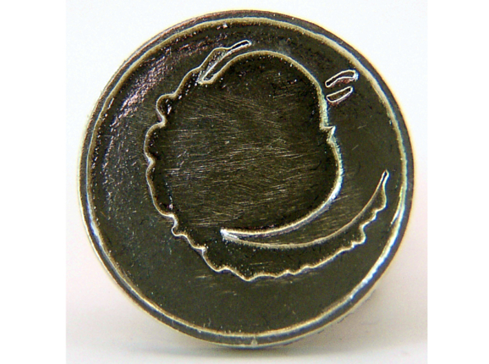 Pyre Coin Moon Silver 3d printed 