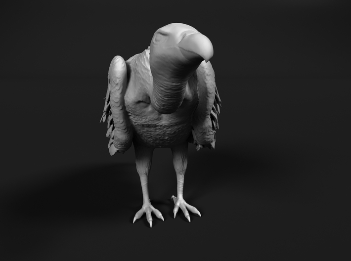 White-Backed Vulture 1:48 Standing 1 3d printed 