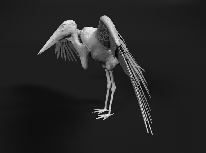 Marabou Stork 1:45 Wings Spread 3d printed