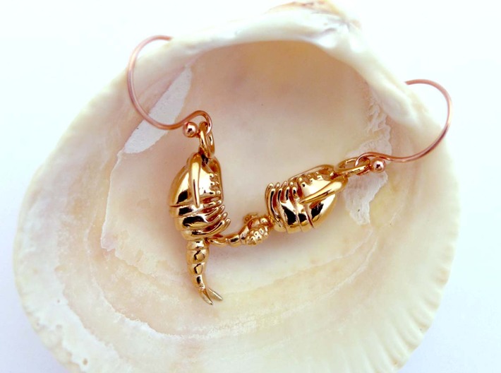 Copepod Earrings - Science Jewelry 3d printed Copepod earrings in polished bronze