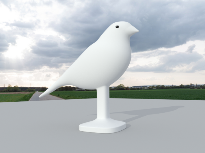 Canary Bird 3d printed Front View, Canary Bird