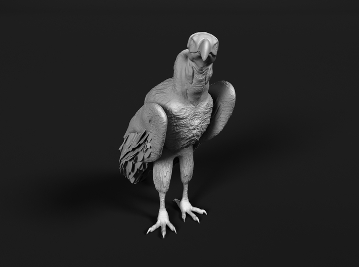 Lappet-Faced Vulture 1:20 Standing 3d printed