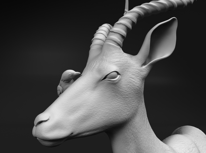 Impala 1:64 Male with Red-Billed Oxpecker 3d printed 