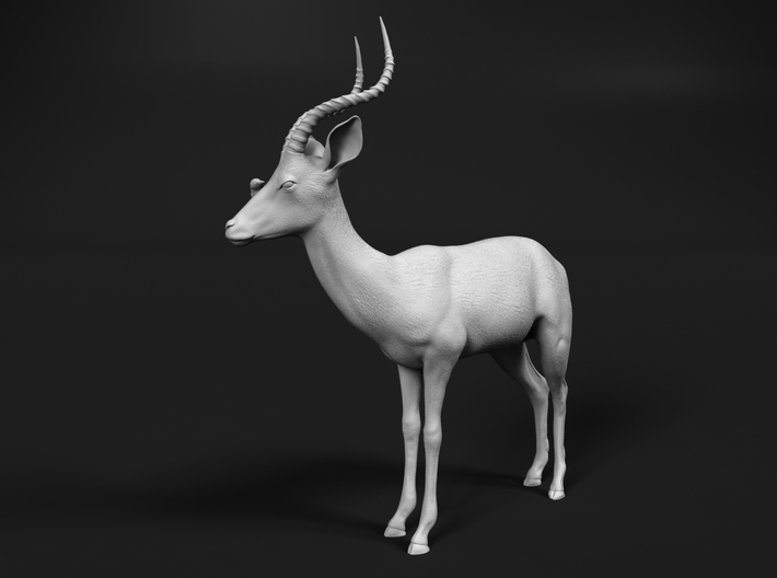 Impala 1:24 Male with Red-Billed Oxpecker 3d printed 
