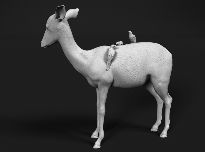Impala 1:25 Female with Red-Billed Oxpeckers 3d printed