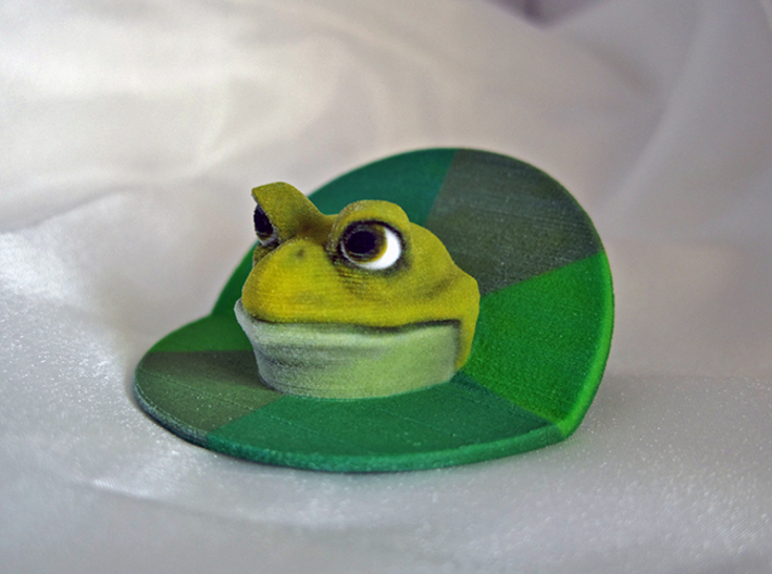 Bachelor Frog 3d printed