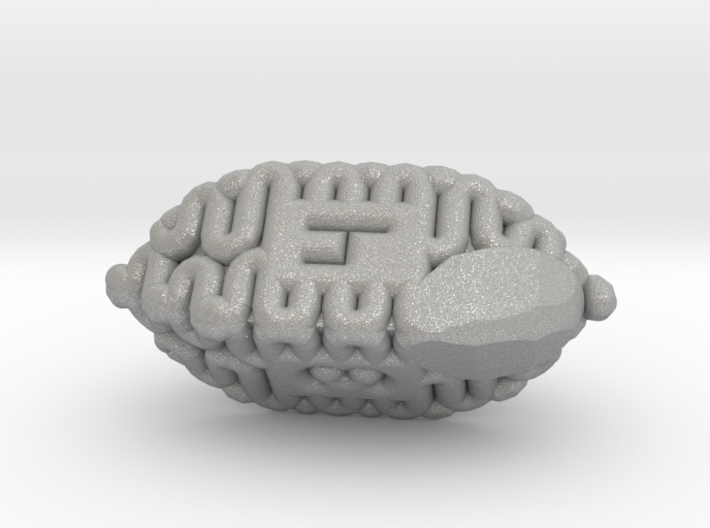 Brain d4 3d printed