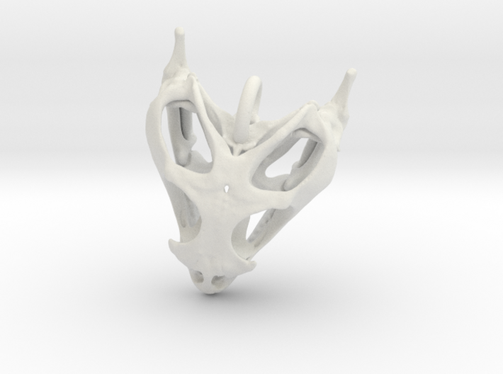 Bearded Dragon Skull 3d printed
