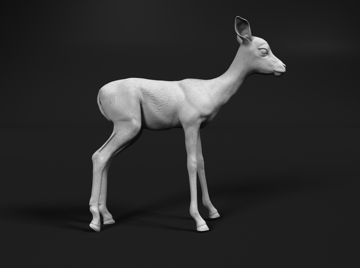 Impala 1:20 Standing Fawn 3d printed 