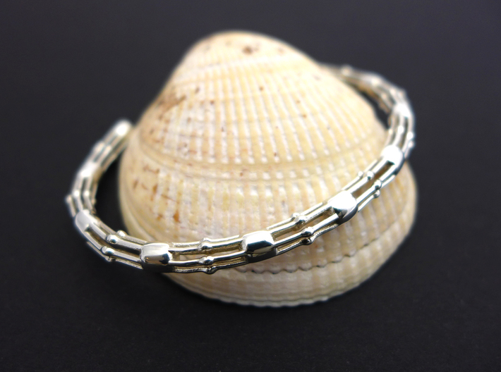 Skeletonema Diatom Bracelet 3d printed Skeletonema bracelet in polished silver