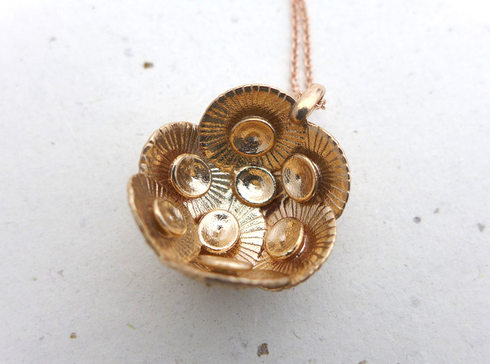 Coccolithus Pendant - Science Jewelry 3d printed Coccolithus pendant in raw bronze