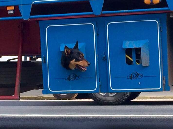 1/87th Australian style 'Dog Box' for semi trailer 3d printed 