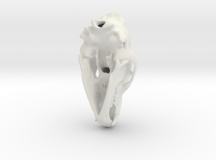 Bear Skull 3d printed