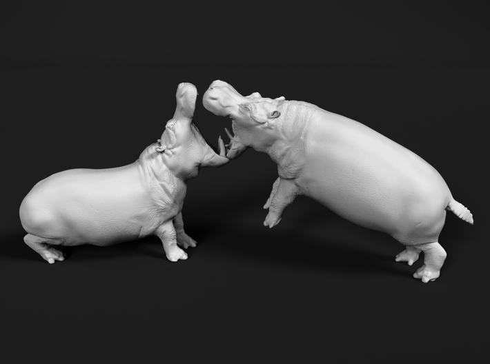 Hippopotamus 1:160 Fighting Males 3d printed