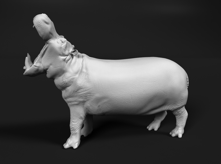 Hippopotamus 1:48 Male with Open Mouth 3d printed