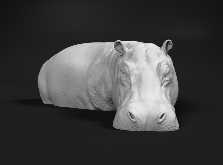 Hippopotamus 1:25 Standing in Water 3d printed