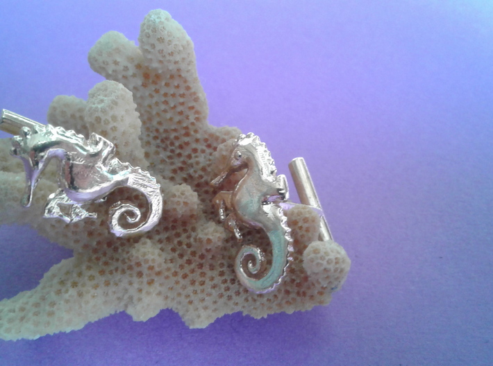 3. Chapter 3: He is giving birth! Cufflinks 3d printed 