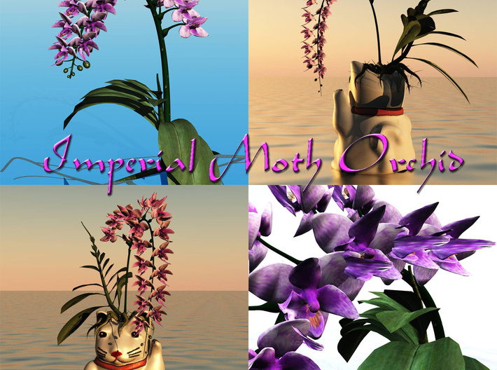 Maneki-Neko Planter 10cm 3d printed Shown with the Moth Orchid by Dream Cutter 3D