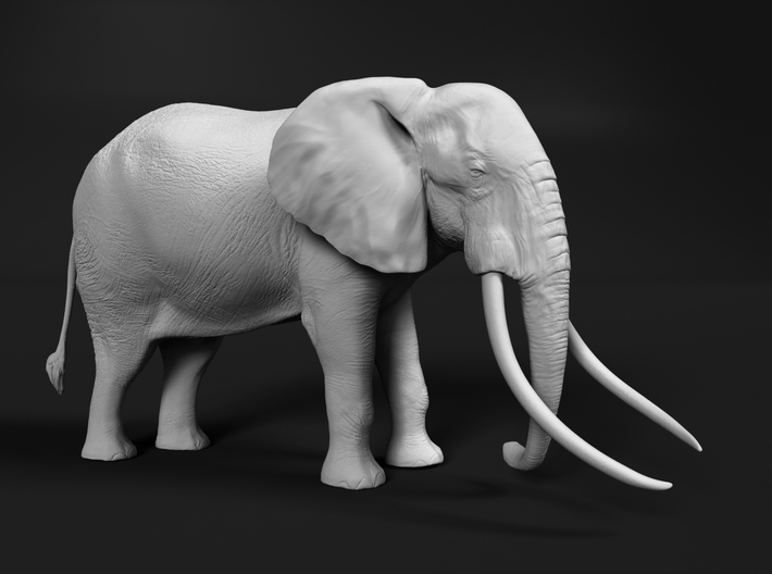 African Bush Elephant 1:25 Tusker Bull Satao 3d printed 