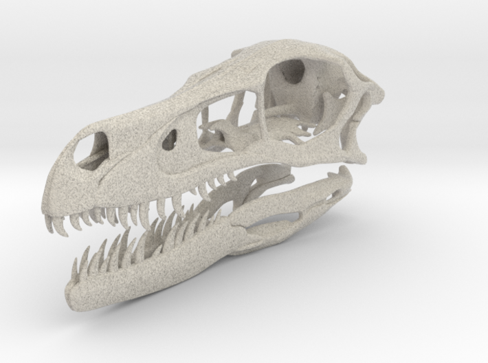 1:1 Velociraptor mongoliensis Skull and Jaw 3d printed