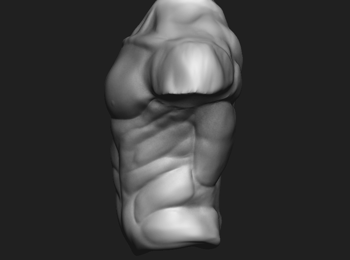 3D Male torso  3d printed side view (left)