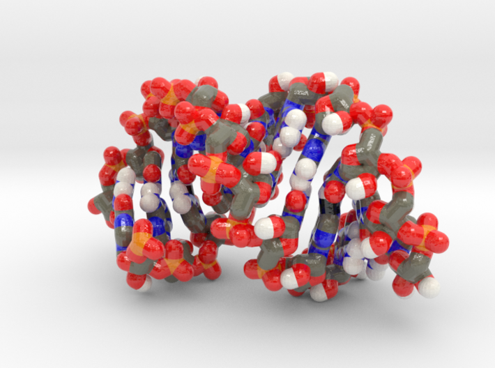 RNA helix - polynucleotide molecule 3d printed