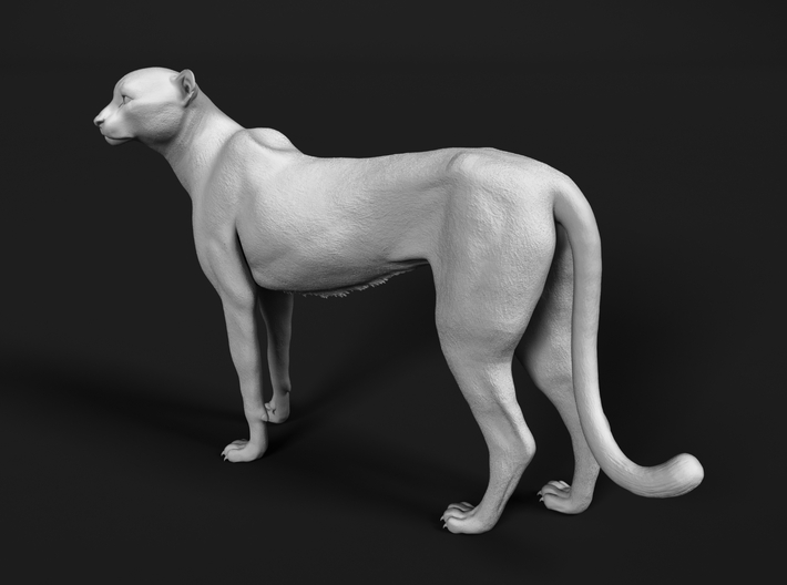 Cheetah 1:25 Standing Female 3d printed