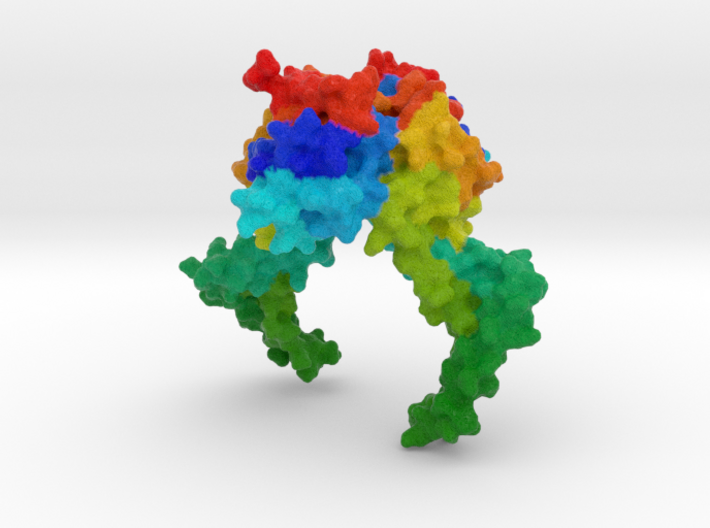 CRISPR-Associated Protein Csn2 3d printed