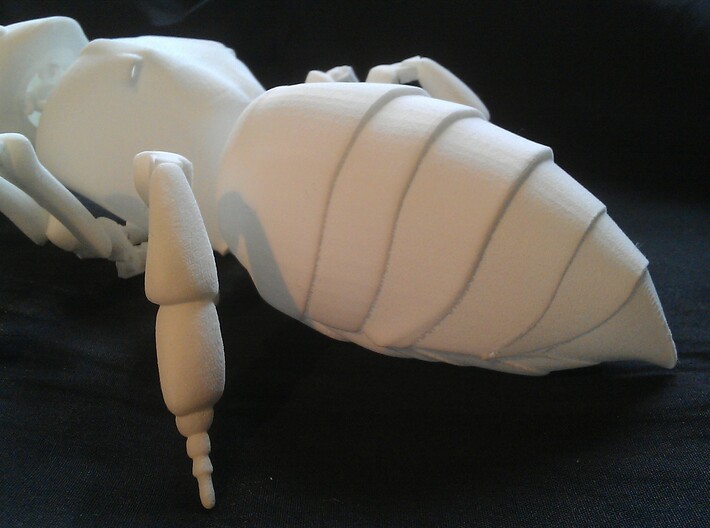 Articulated Honey bee 3d printed 