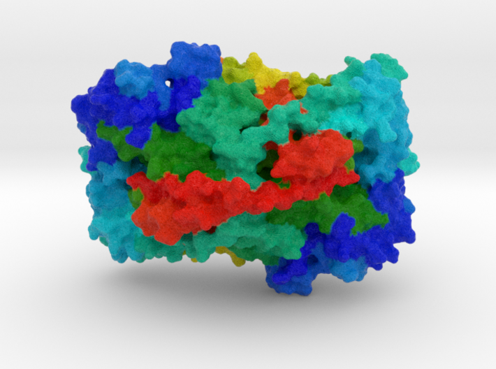 Vascular Cell Adhesion Protein  3d printed