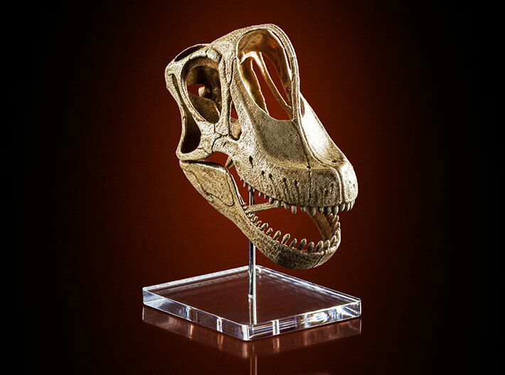 Giraffatitan - dinosaur skull replica 3d printed Photo