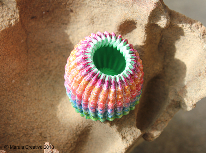 Brain Coral Jewellery Container 3d printed Hand painted White Strong &amp; Flexible Polished