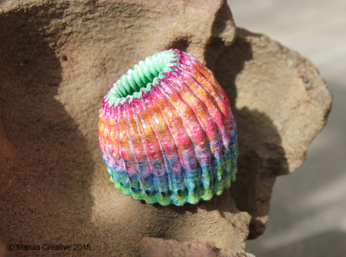 Brain Coral Jewellery Container 3d printed Hand painted White Strong & Flexible Polished