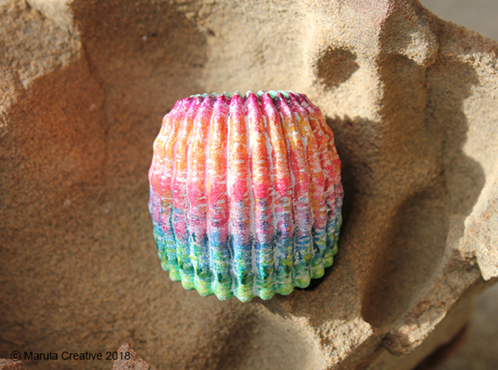 Brain Coral Jewellery Container 3d printed Hand painted White Strong & Flexible Polished