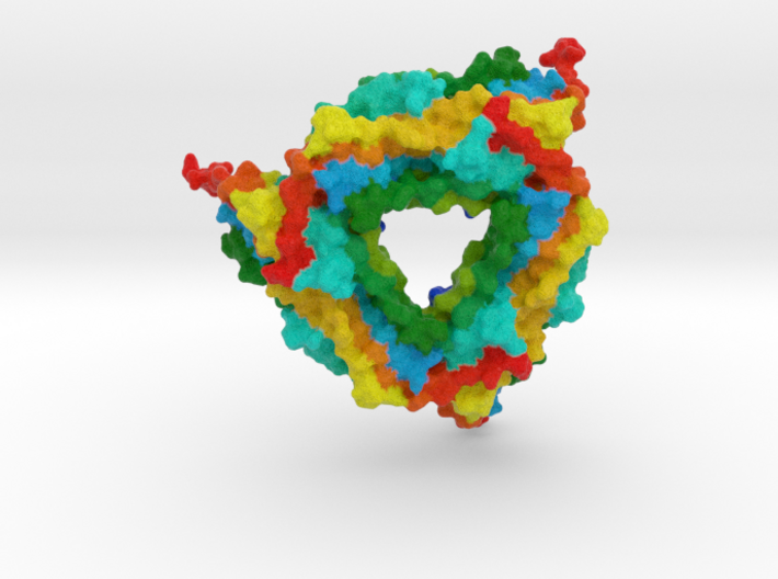 Small Heat Shock Protein 3d printed