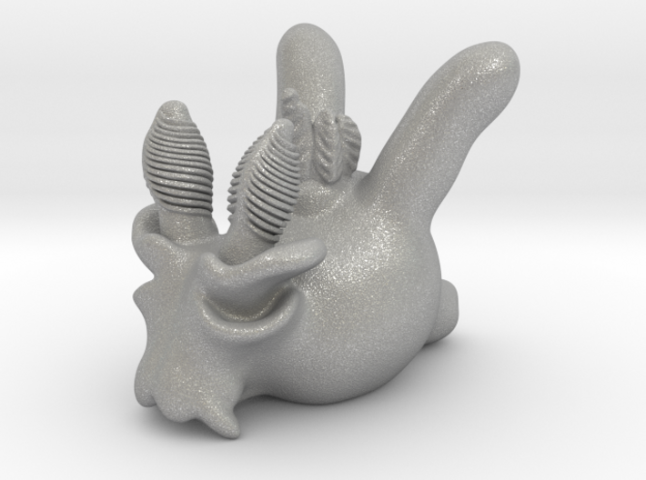 Thecacera picta 3d printed