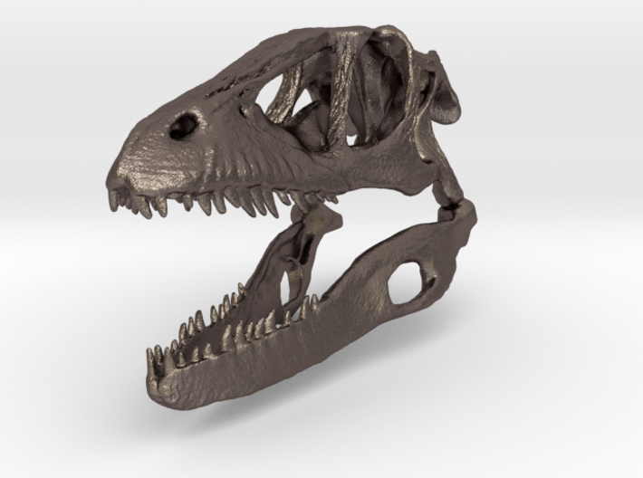 Dino Skull - Raptor Replica 3d printed